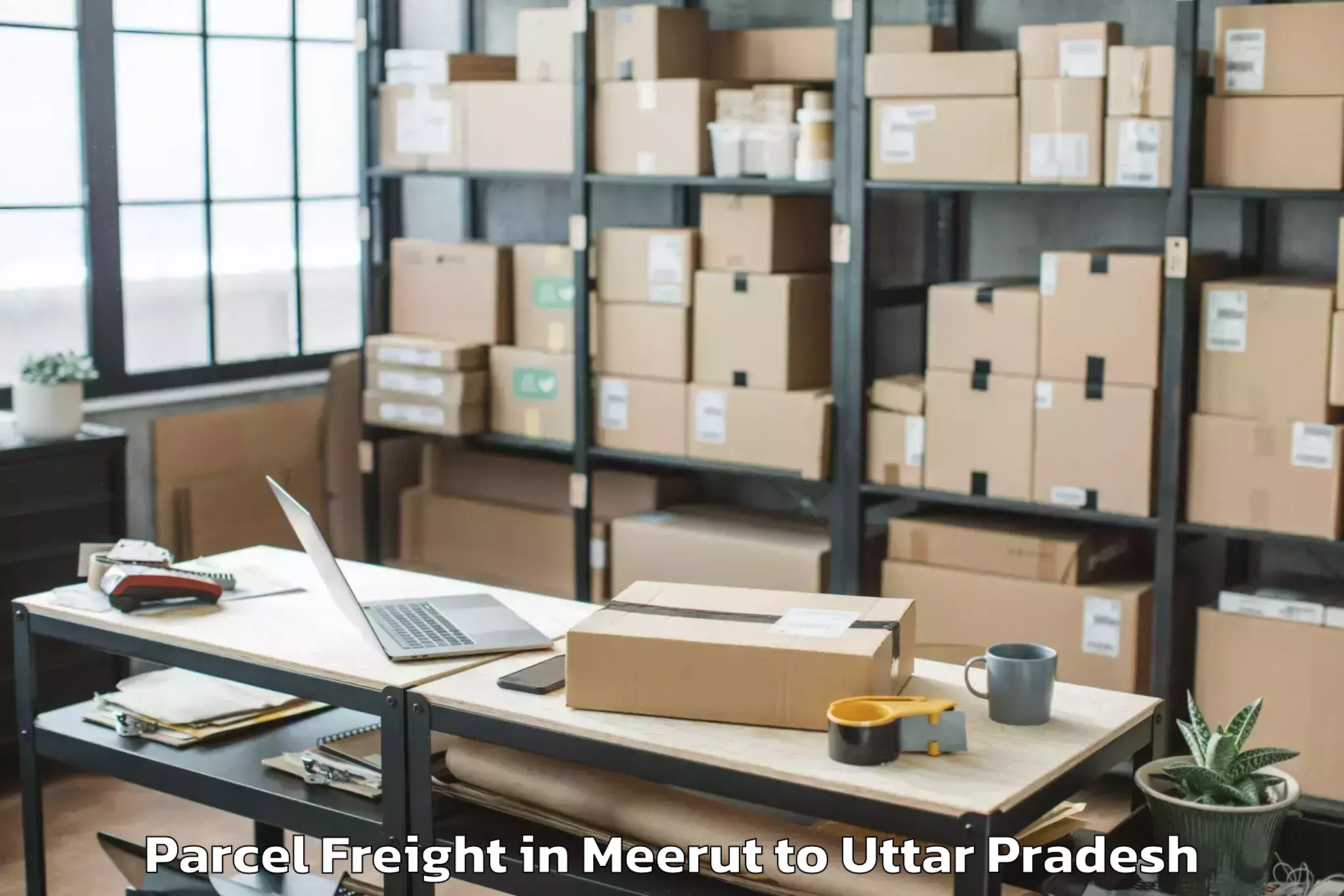 Top Meerut to Tilhar Parcel Freight Available